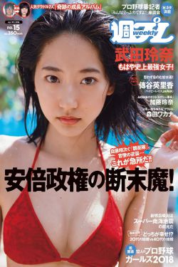 乒乓网